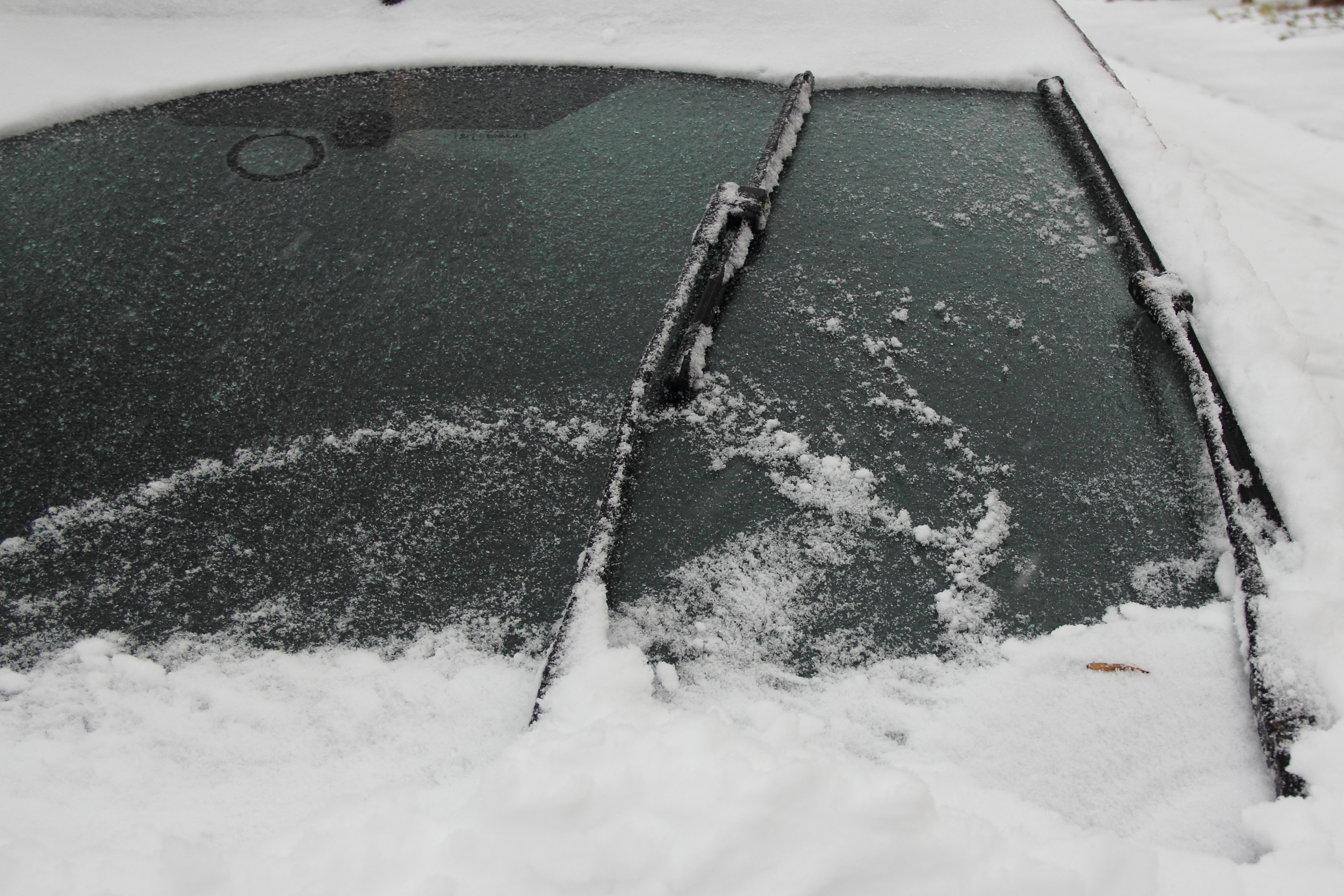 Everything You Need to Know Before Changing Your Windshield Wipers