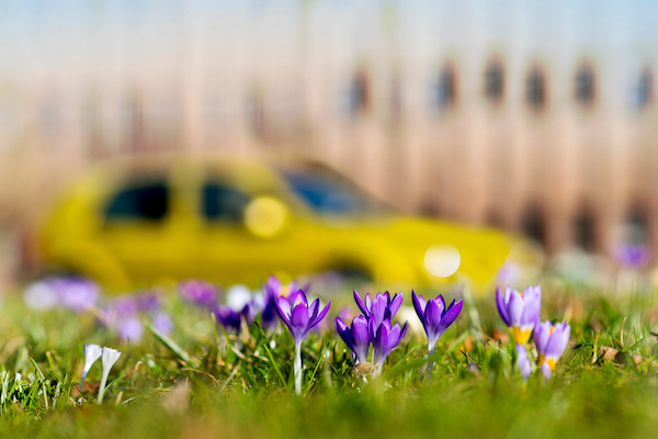 5 Car Care Tips for Spring
