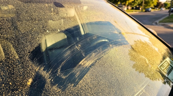 What Are The Effects Of Pollen Season On Your Car?